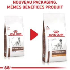 Royal Canin Veterinary Gastrointestinal Low Fat - croquettes chien