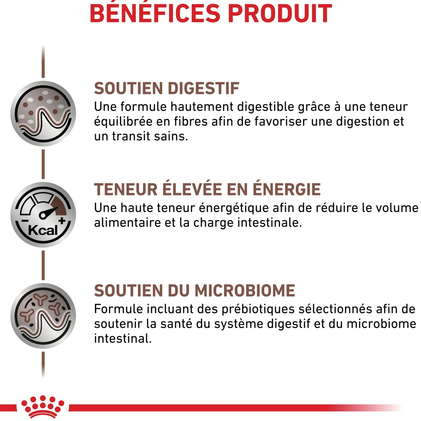 Royal Canin Veterinary Gastrointestinal - croquettes chat