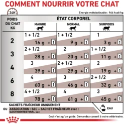 Royal Canin Veterinary Gastrointestinal - croquettes chat