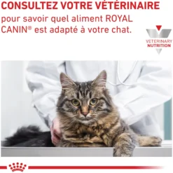 Royal Canin Veterinary Gastrointestinal - croquettes chat
