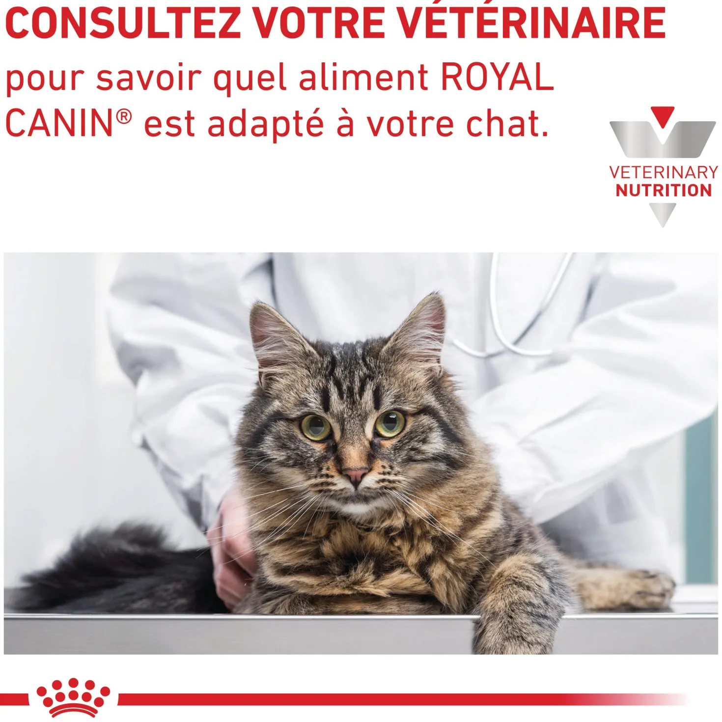 Royal Canin Veterinary Gastrointestinal - croquettes chat