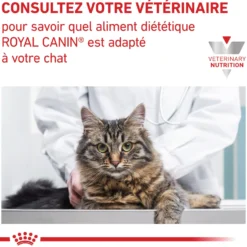 Royal Canin Veterinary Gastrointestinal Kitten - aliment chaton