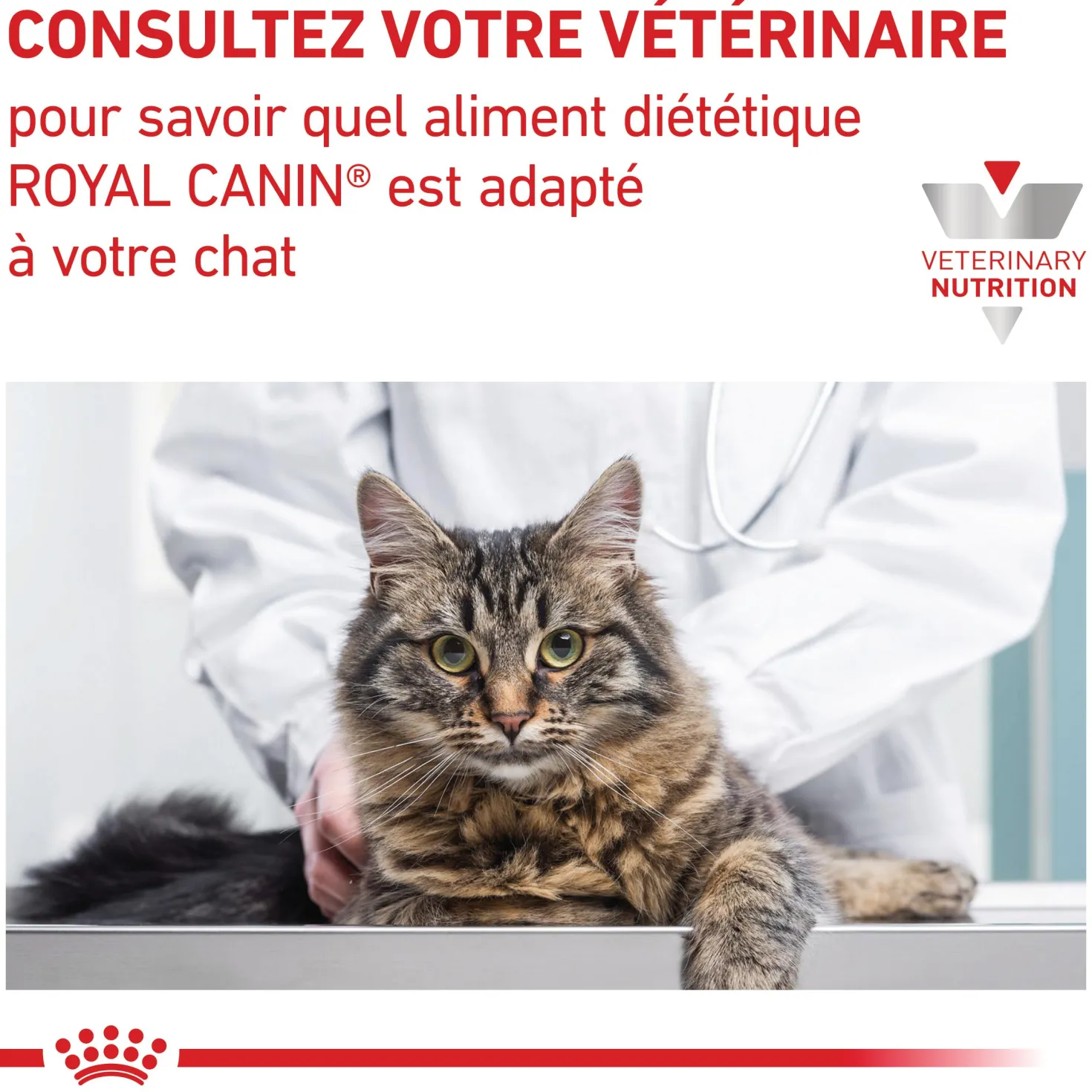 Royal Canin Veterinary Gastrointestinal Kitten - aliment chaton