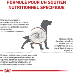Royal Canin Veterinary Gastrointestinal Low Fat en mousse - pâtée chien