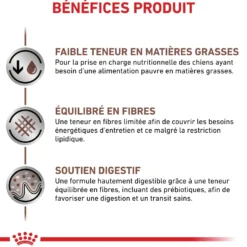 Royal Canin Veterinary Gastrointestinal Low Fat en mousse - pâtée chien