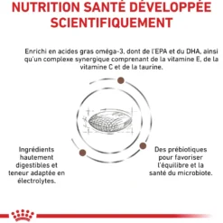 Royal Canin Veterinary Gastrointestinal Low Fat Small Dog – croquettes chien