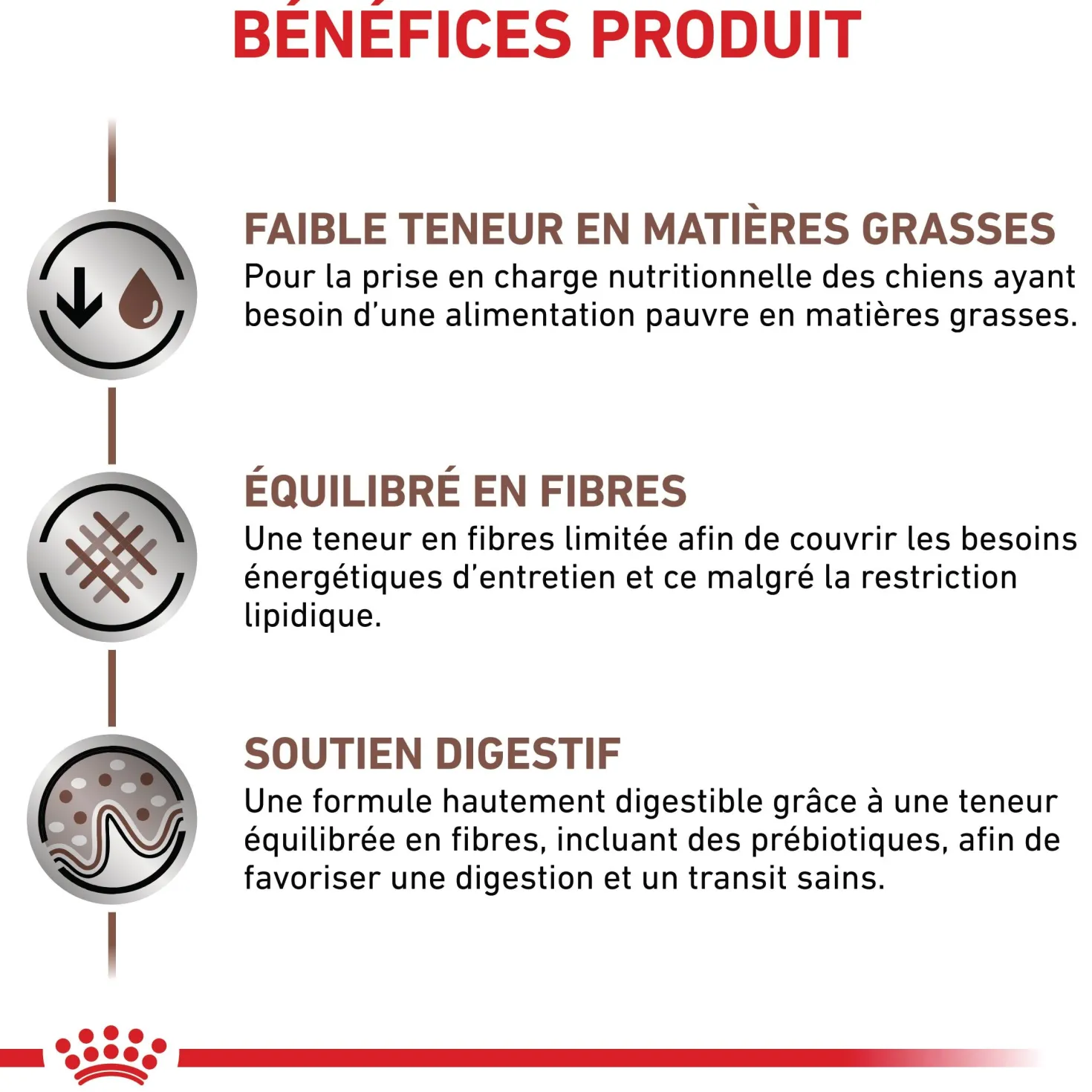 Royal Canin Veterinary Gastrointestinal Low Fat Small Dog – croquettes chien