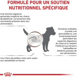 Royal Canin Veterinary Gastrointestinal Low Fat Small Dog – croquettes chien