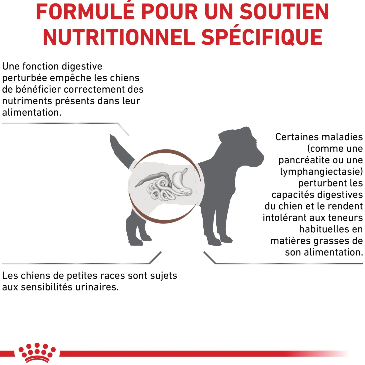Royal Canin Veterinary Gastrointestinal Low Fat Small Dog – croquettes chien