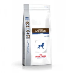 Royal Canin Veterinary Gastro Intestinal Puppy