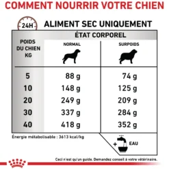 Royal Canin Veterinary Gastro Intestinal Moderate Calorie - croquettes chien