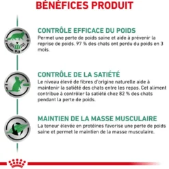 Royal Canin Veterinary Health Nutrition Satiety Weight Mgt - croquettes chat