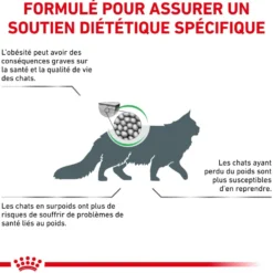 Royal Canin Veterinary Health Nutrition Satiety Weight Mgt - croquettes chat
