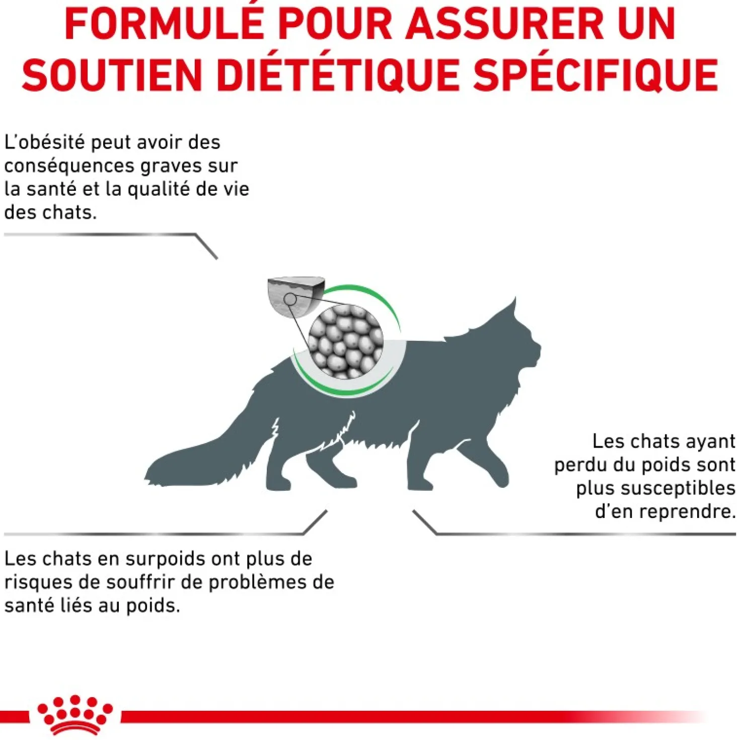 Royal Canin Veterinary Health Nutrition Satiety Weight Mgt - croquettes chat