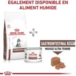 Royal Canin Veterinary Health Nutrition Puppy Gastrointestinal - croquettes chiot