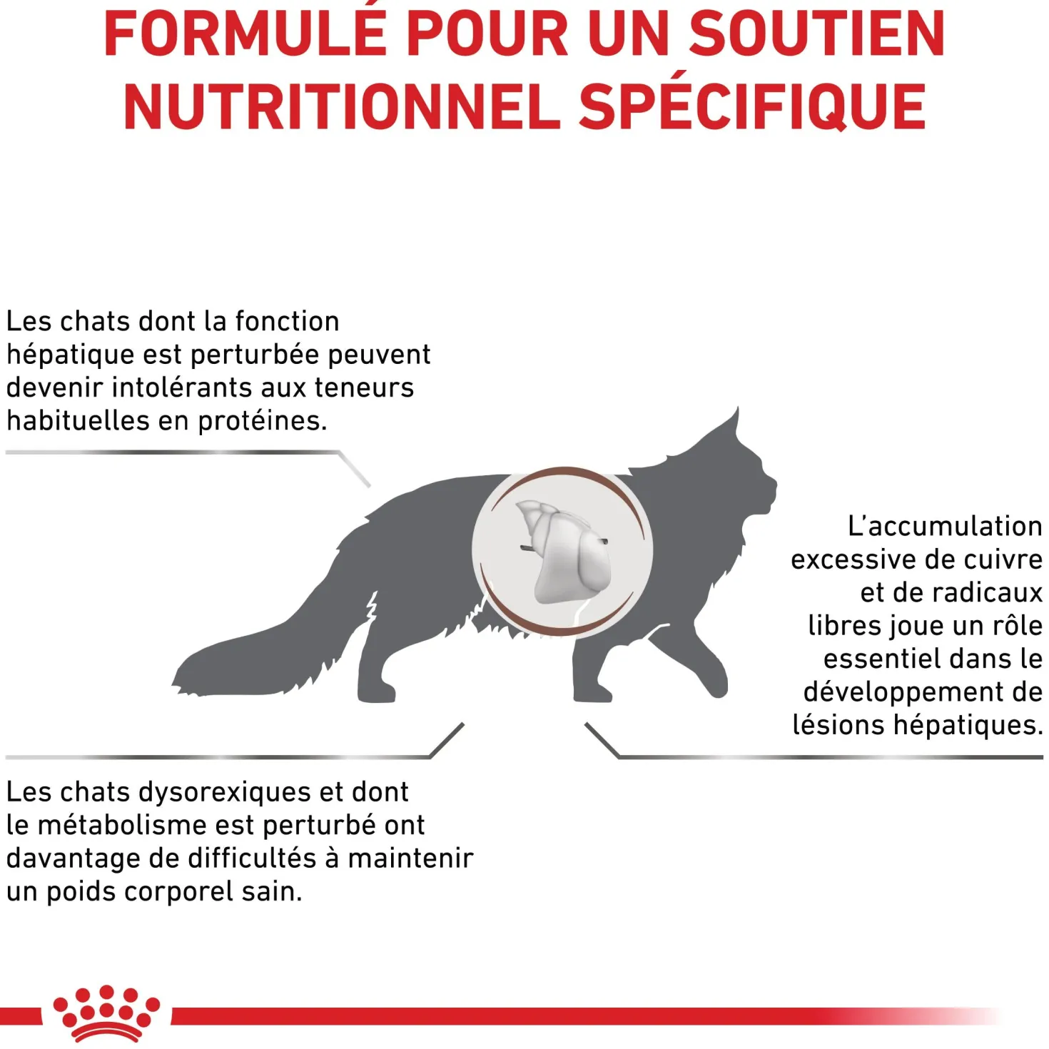 Royal Canin Veterinary Hepatic - Pour chat
