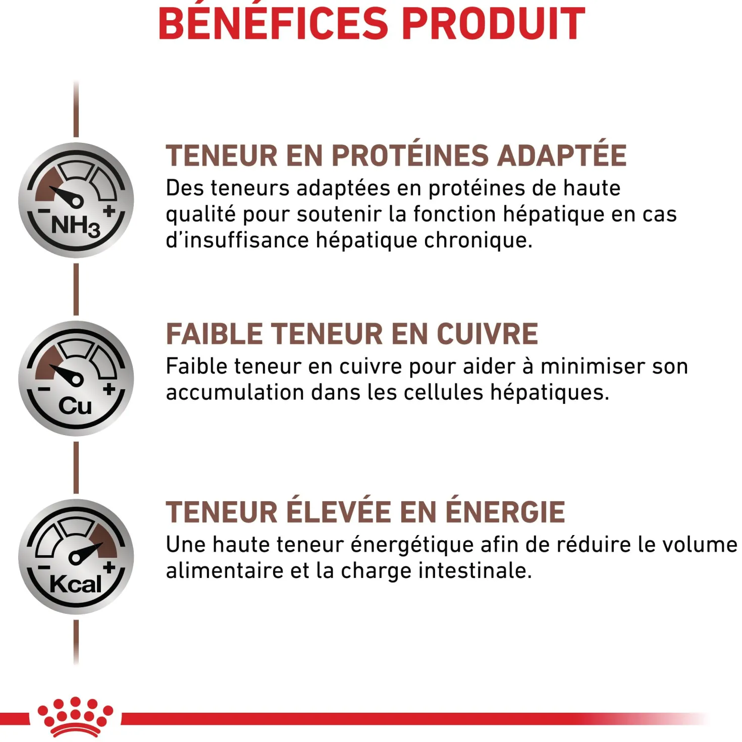 Royal Canin Veterinary Hepatic - Pour chat