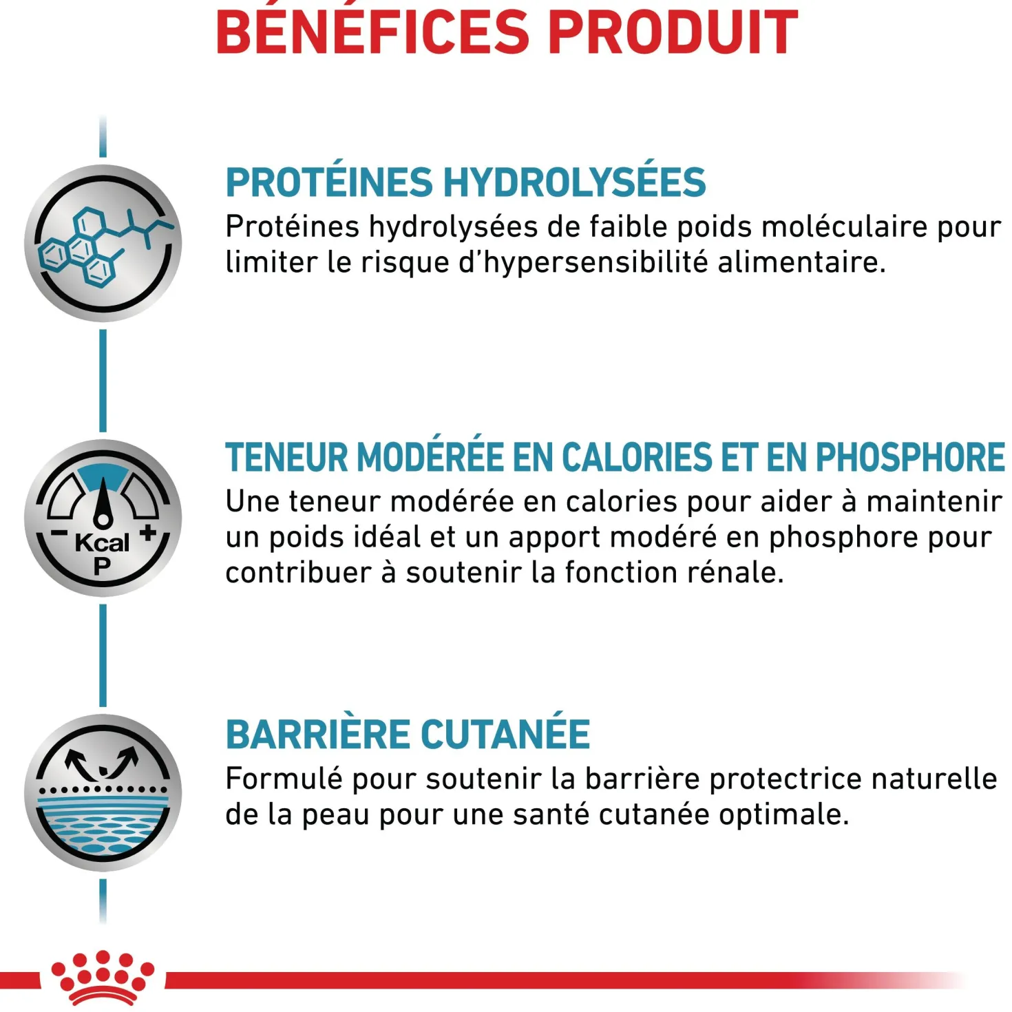 Royal Canin Veterinary Hypoallergenic Moderate Calorie - croquettes chien