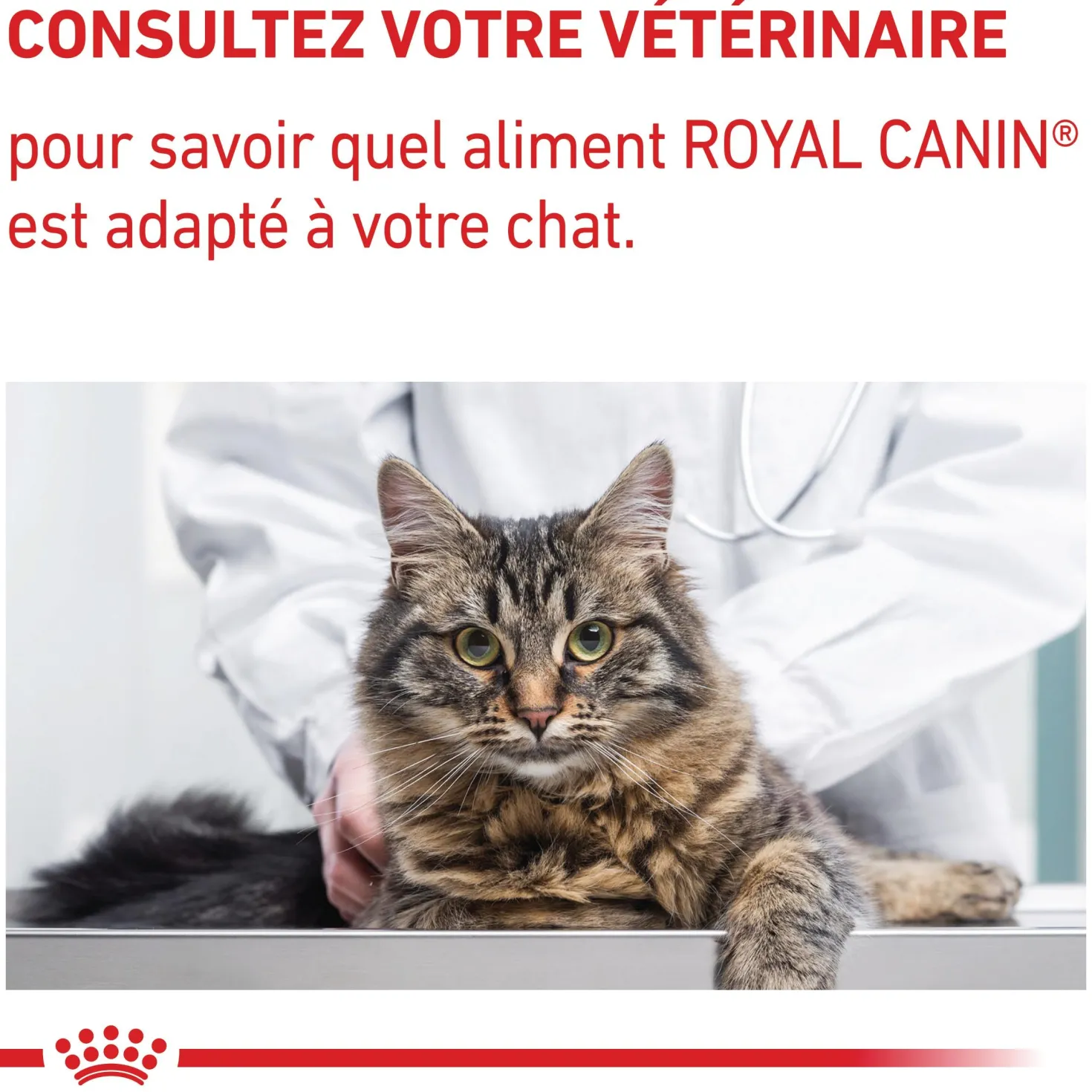 Royal Canin Veterinary Mature Consult Balance - pâtée chat
