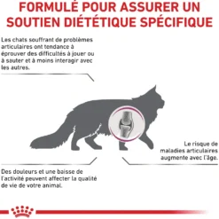 Royal Canin Veterinary Mobility - croquettes chat