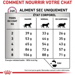 Royal Canin Veterinary Mobility - croquettes chat