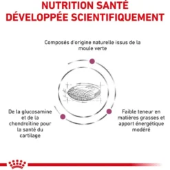 Royal Canin Veterinary Mobility Support - croquettes chien