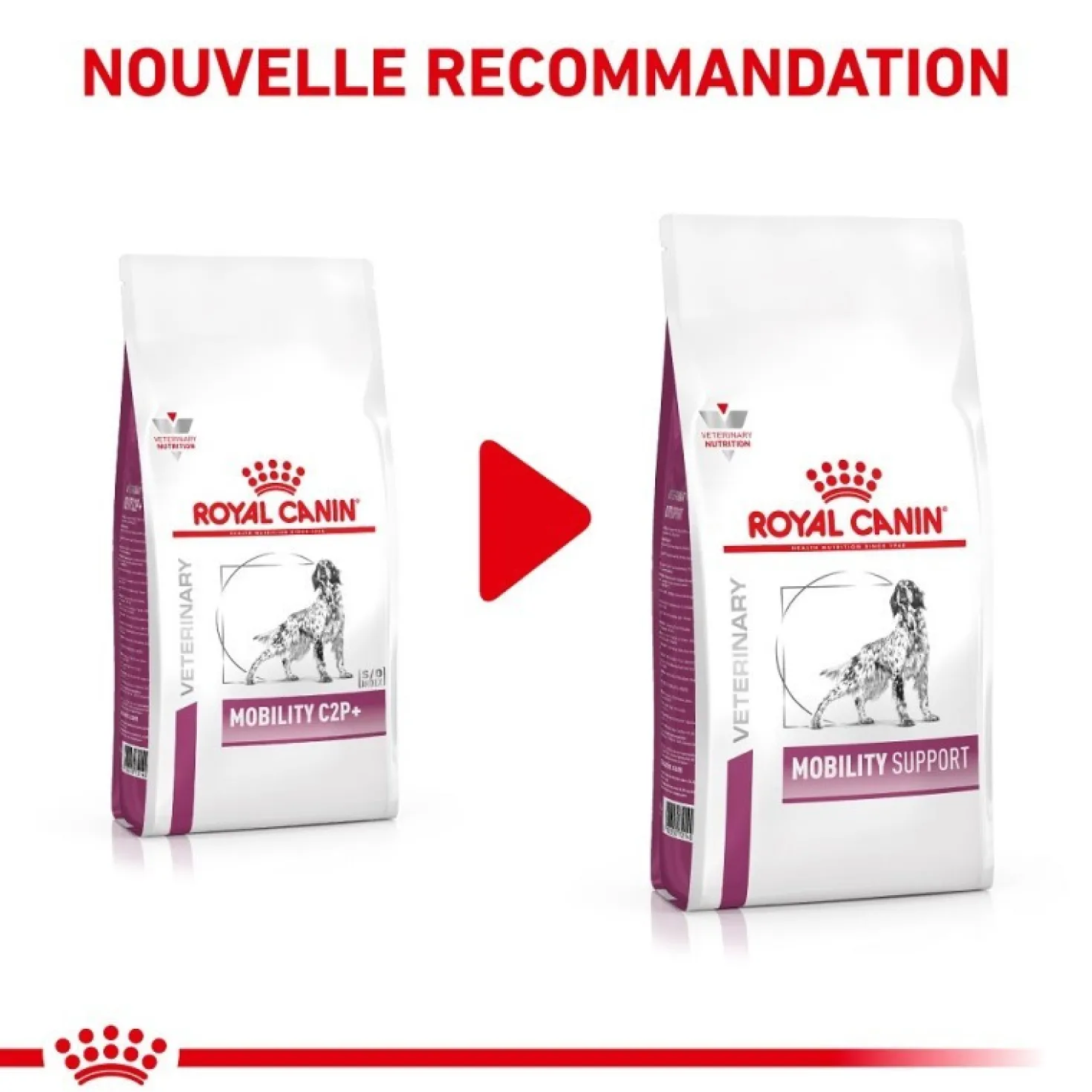 Royal Canin Veterinary Mobility Support - croquettes chien