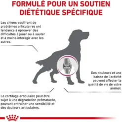 Royal Canin Veterinary Mobility Support - croquettes chien