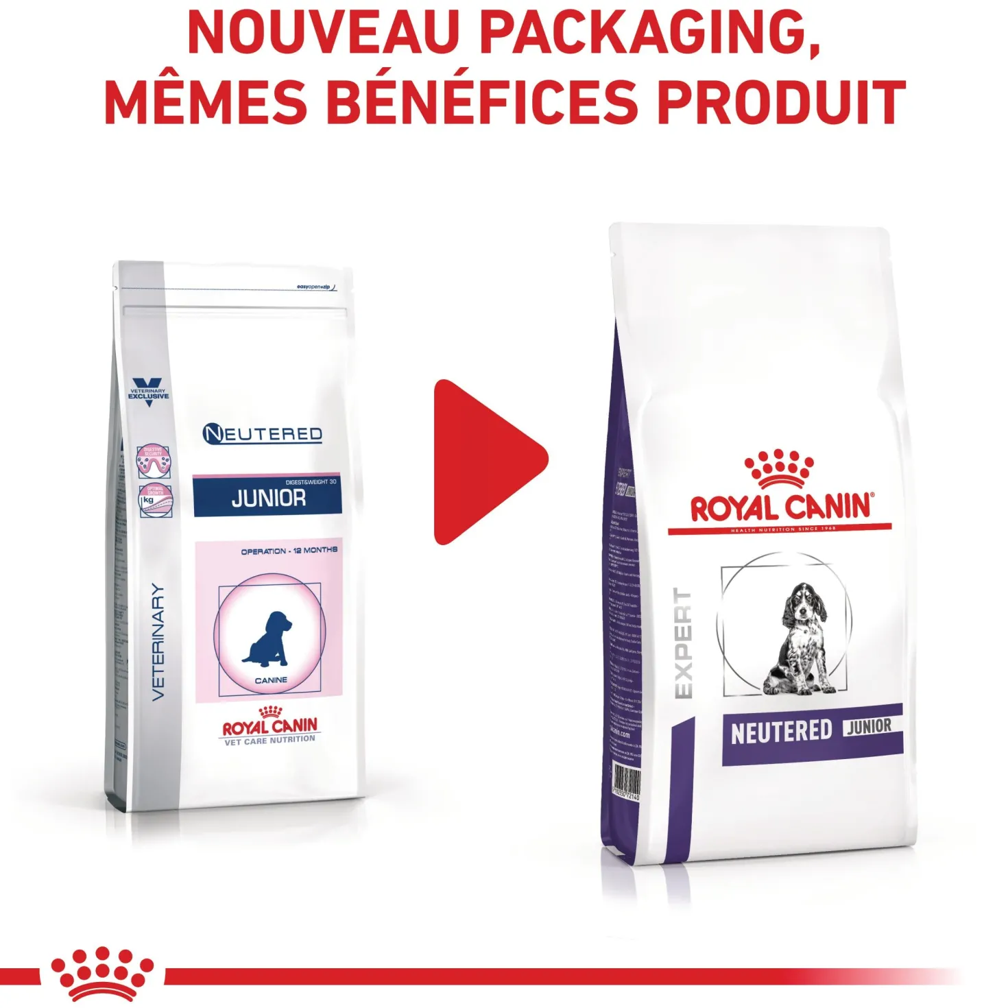 Royal Canin Veterinary Neutered Junior Dog - Croquettes pour chiot