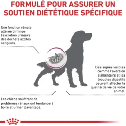 Royal Canin Veterinary Renal - aliment pour chien
