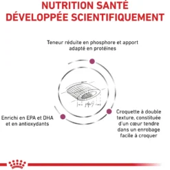 Royal Canin Veterinary Renal Select - croquettes chat