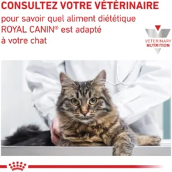 Royal Canin Veterinary Renal Select - croquettes chat