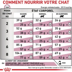 Royal Canin Veterinary Renal Special - croquettes chat