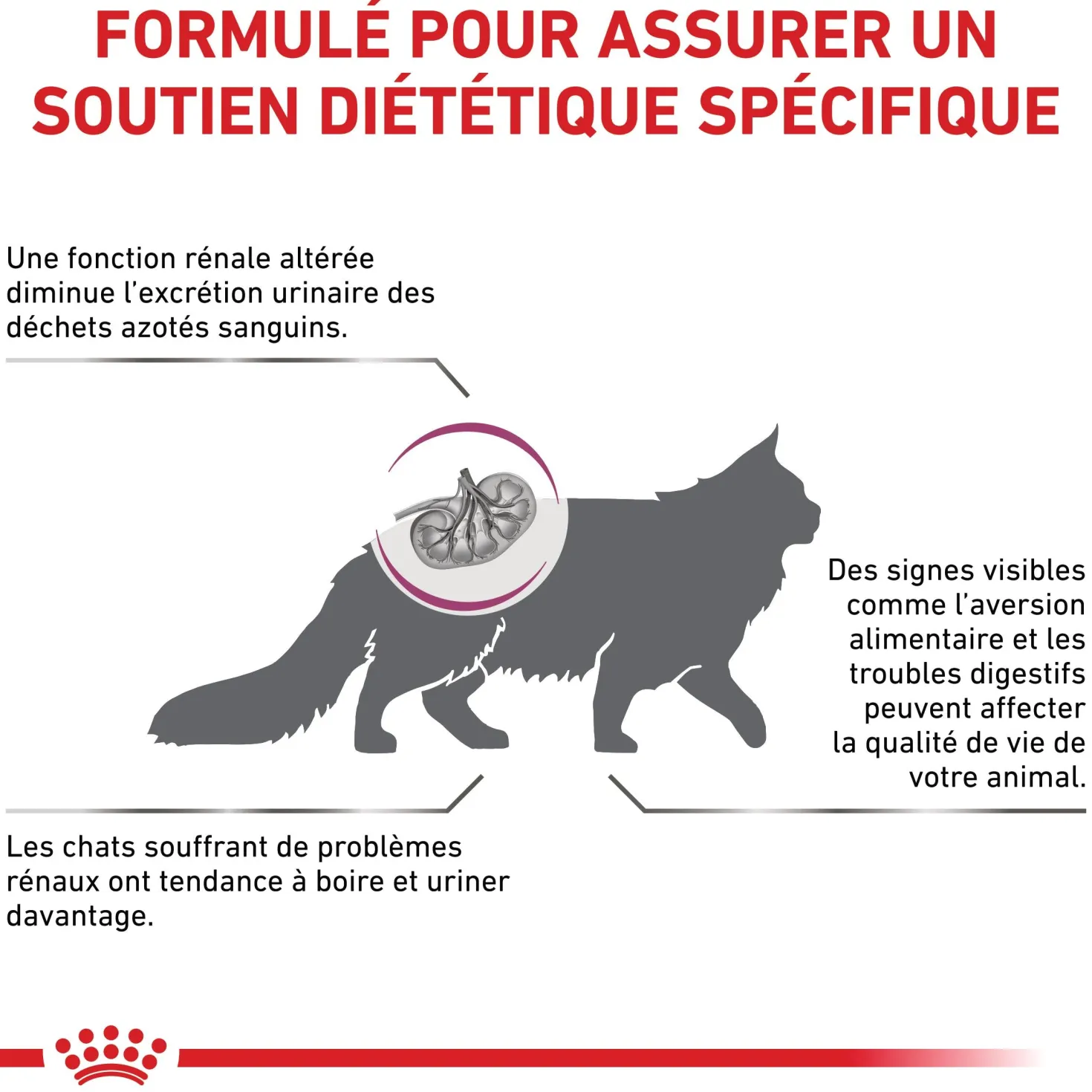 Royal Canin Veterinary Renal Special - croquettes chat