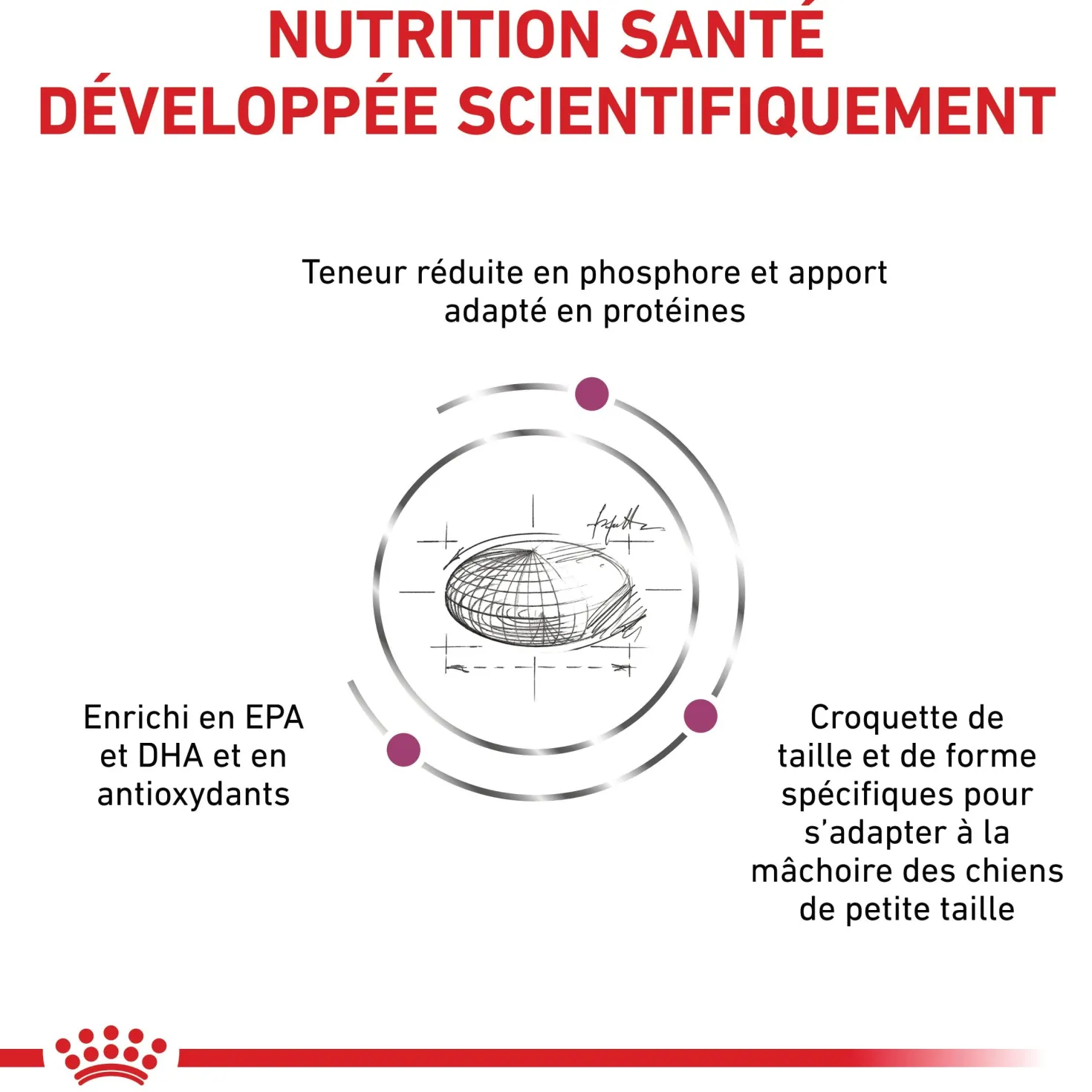 Royal Canin Veterinary Renal Small Dog - croquettes chien