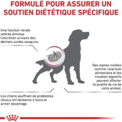Royal Canin Veterinary Renal Special