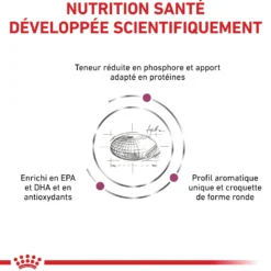 Royal Canin Veterinary Renal Special