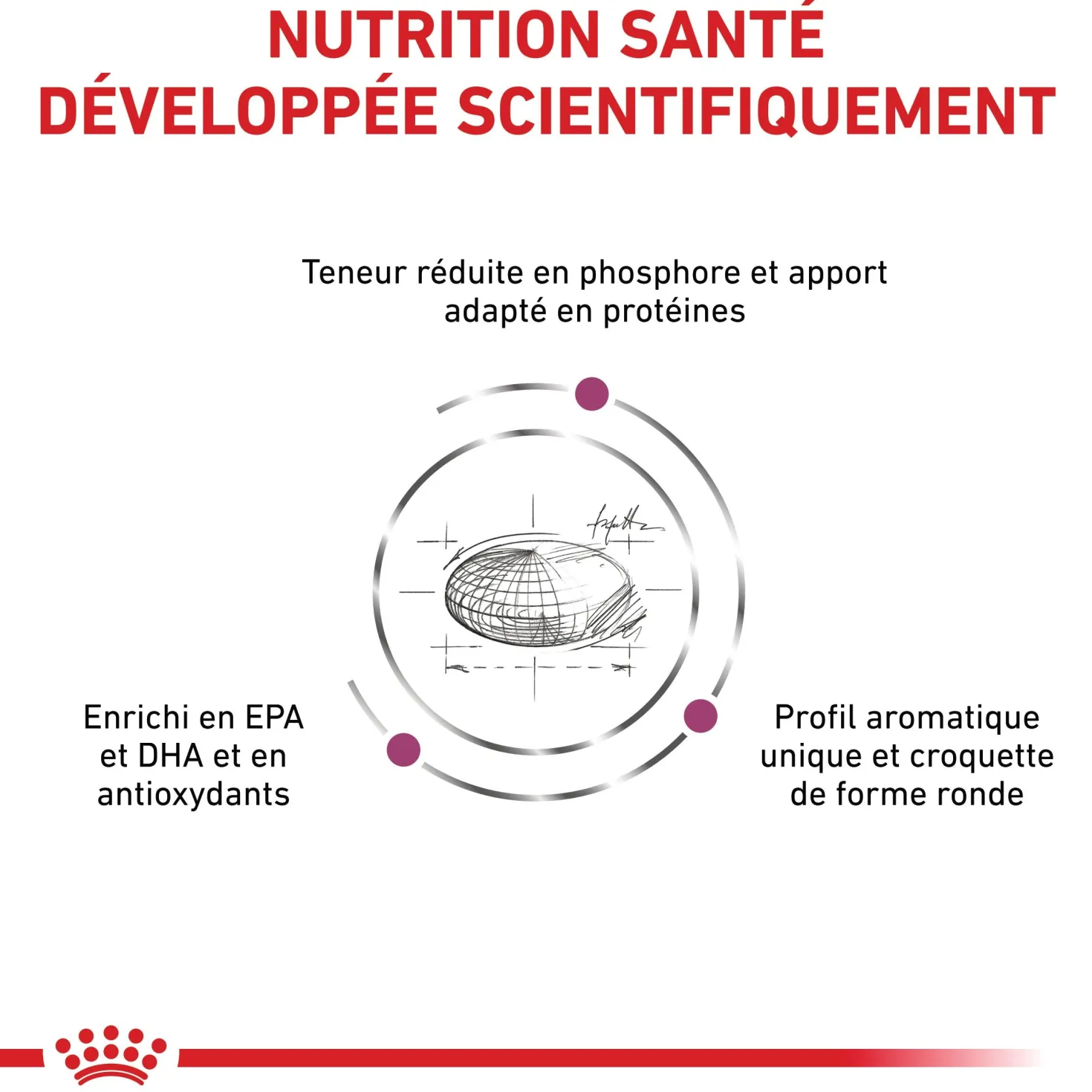 Royal Canin Veterinary Renal Special