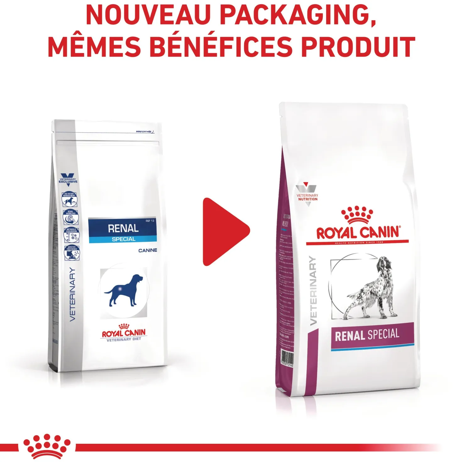 Royal Canin Veterinary Renal Special