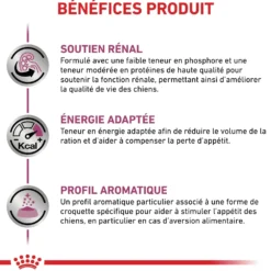 Royal Canin Veterinary Renal Select - croquettes chien