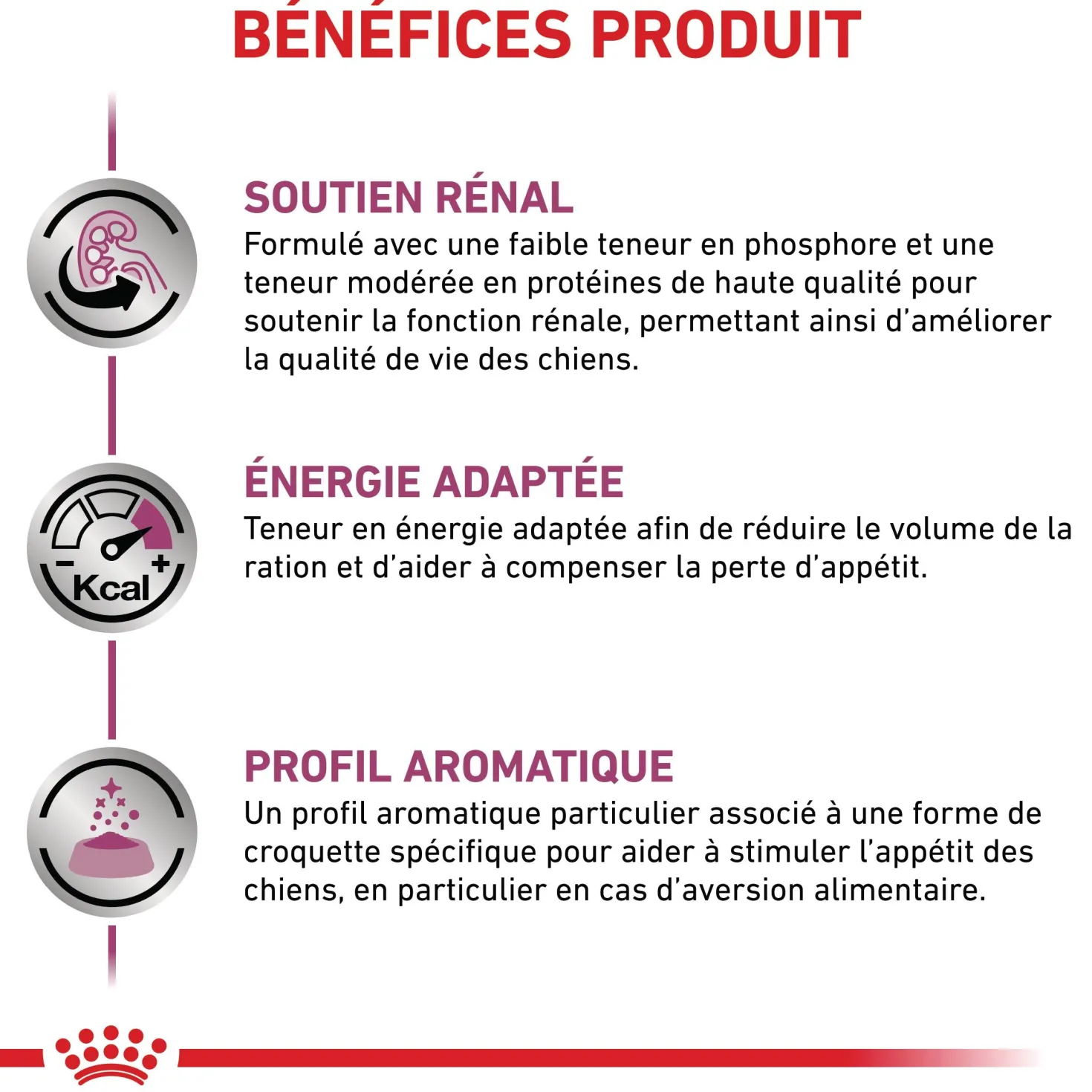 Royal Canin Veterinary Renal Select - croquettes chien
