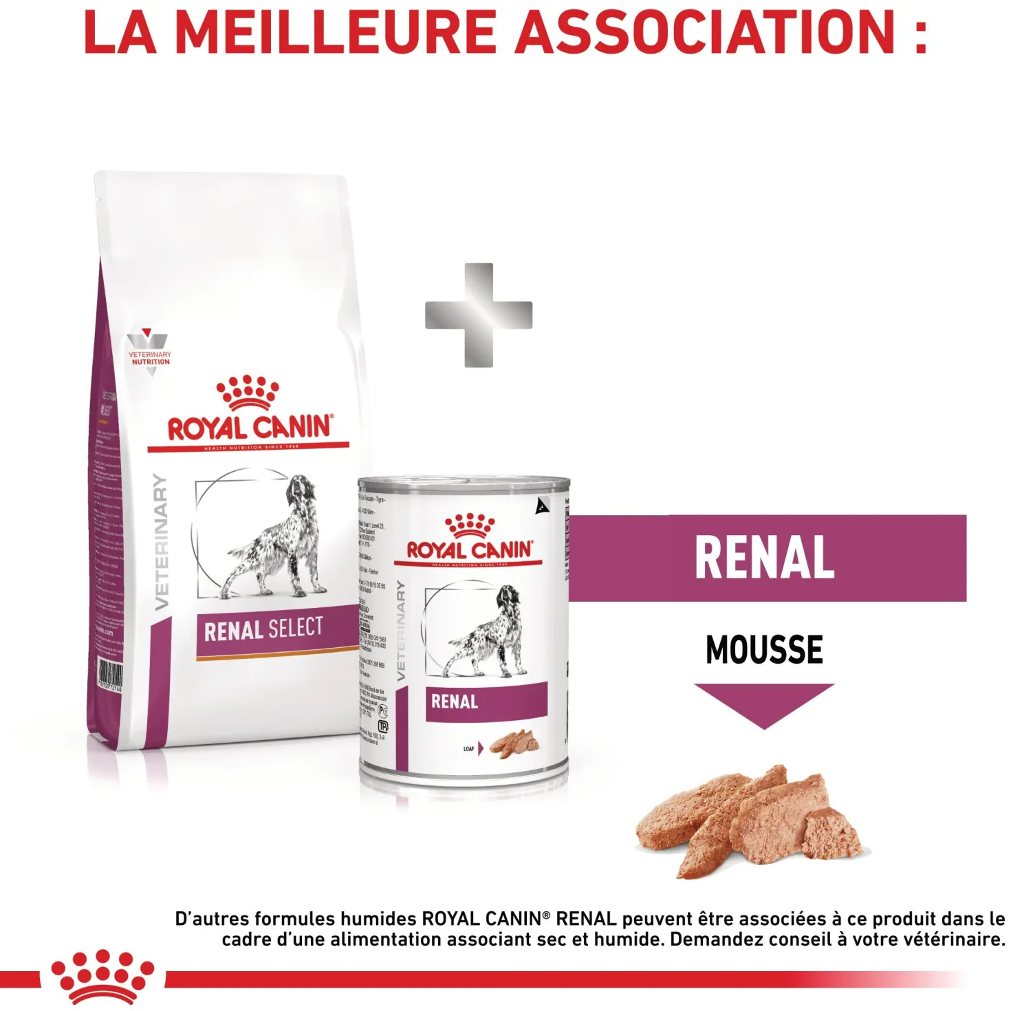 Royal Canin Veterinary Renal Select - croquettes chien