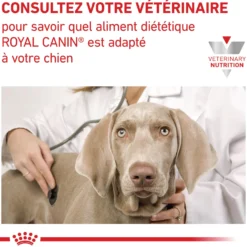 Royal Canin Veterinary Renal Select - croquettes chien