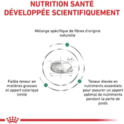 Royal Canin Veterinary Satiety Weight Management - aliment chat