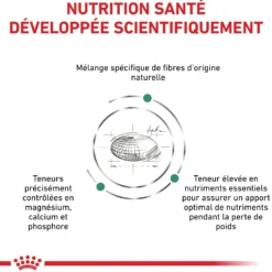 Royal Canin Veterinary Satiety Weight Management Small Dog - croquettes chien