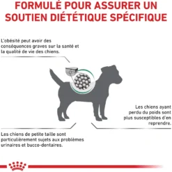 Royal Canin Veterinary Satiety Weight Management Small Dog - croquettes chien