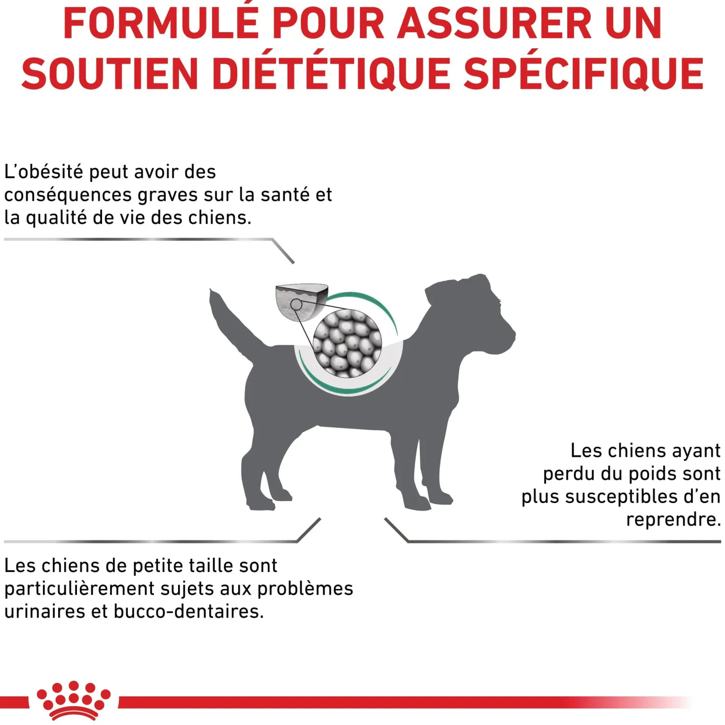 Royal Canin Veterinary Satiety Weight Management Small Dog - croquettes chien