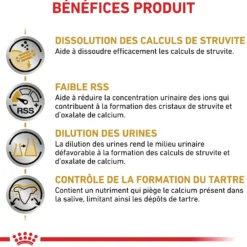 Royal Canin Veterinary Urinary S/O Small Dog - croquettes chien
