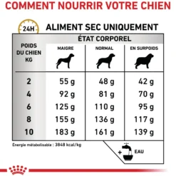 Royal Canin Veterinary Urinary S/O Small Dog - croquettes chien