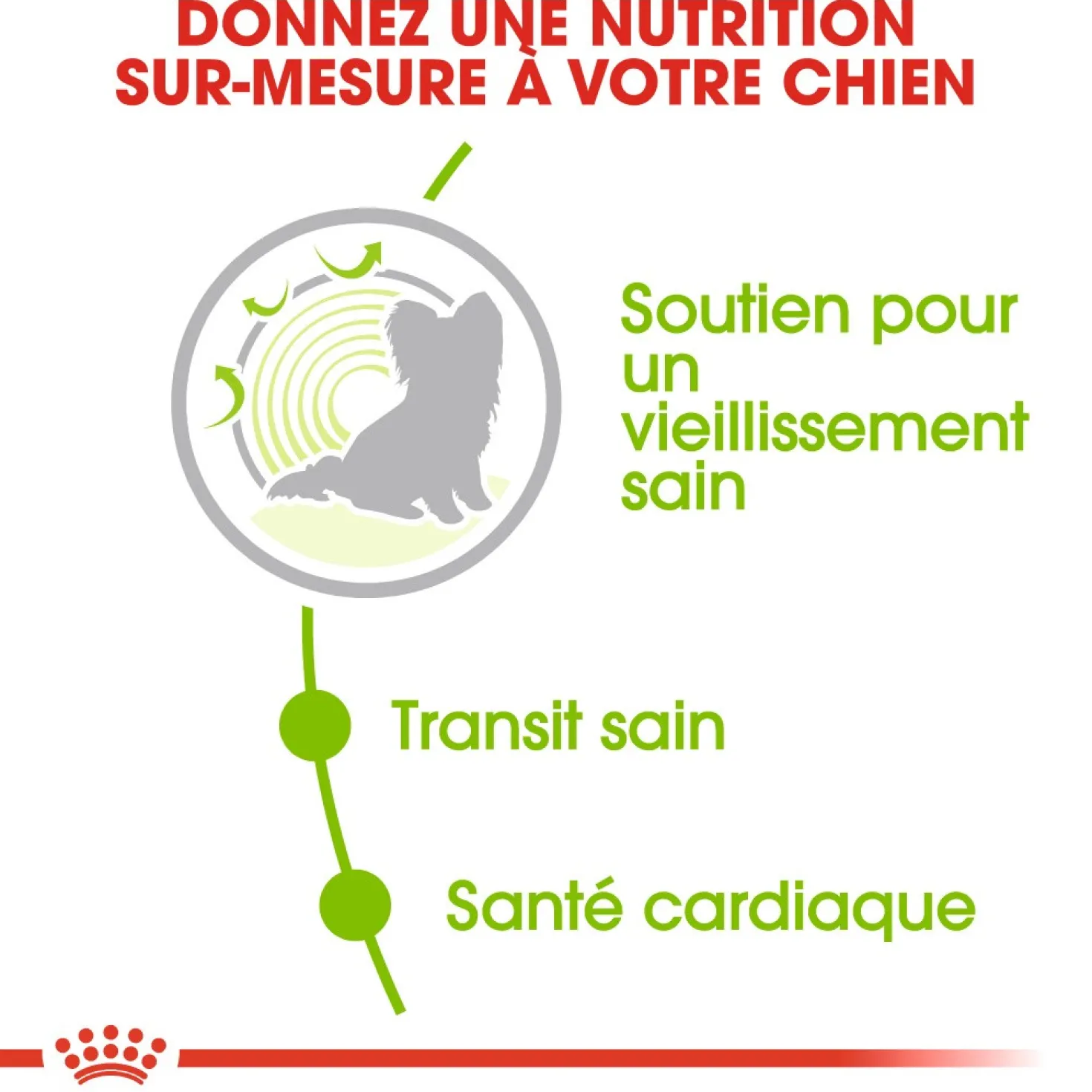 Royal Canin X-Small Ageing 12